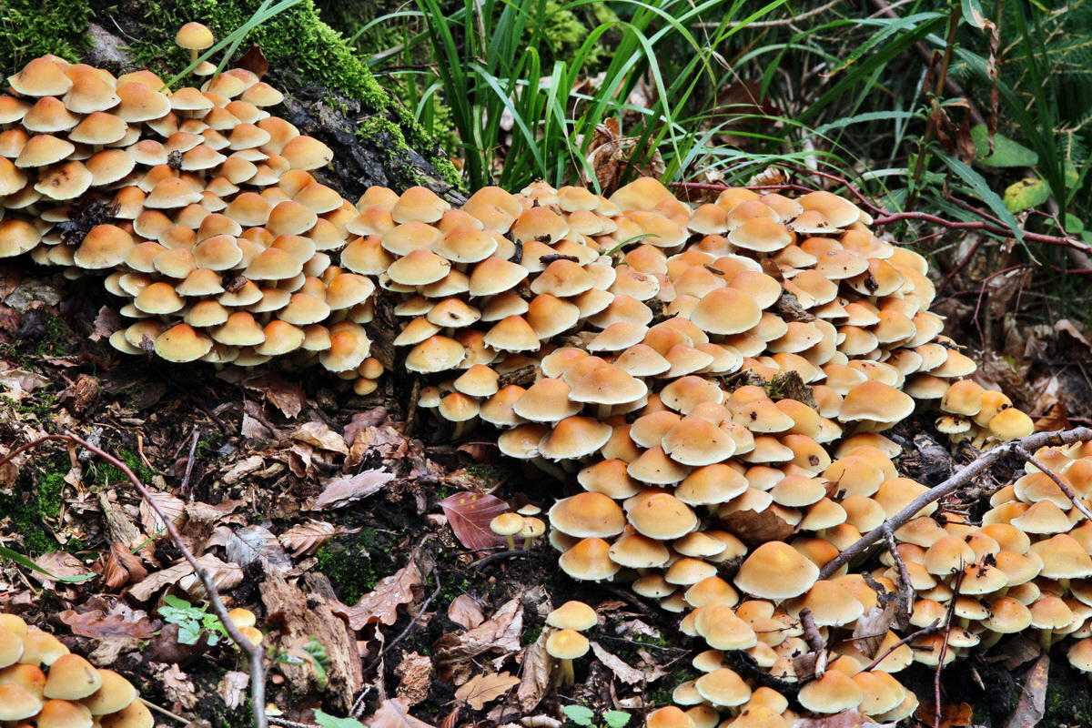 2013_09_21_00031034p_Bildgr��e �ndern