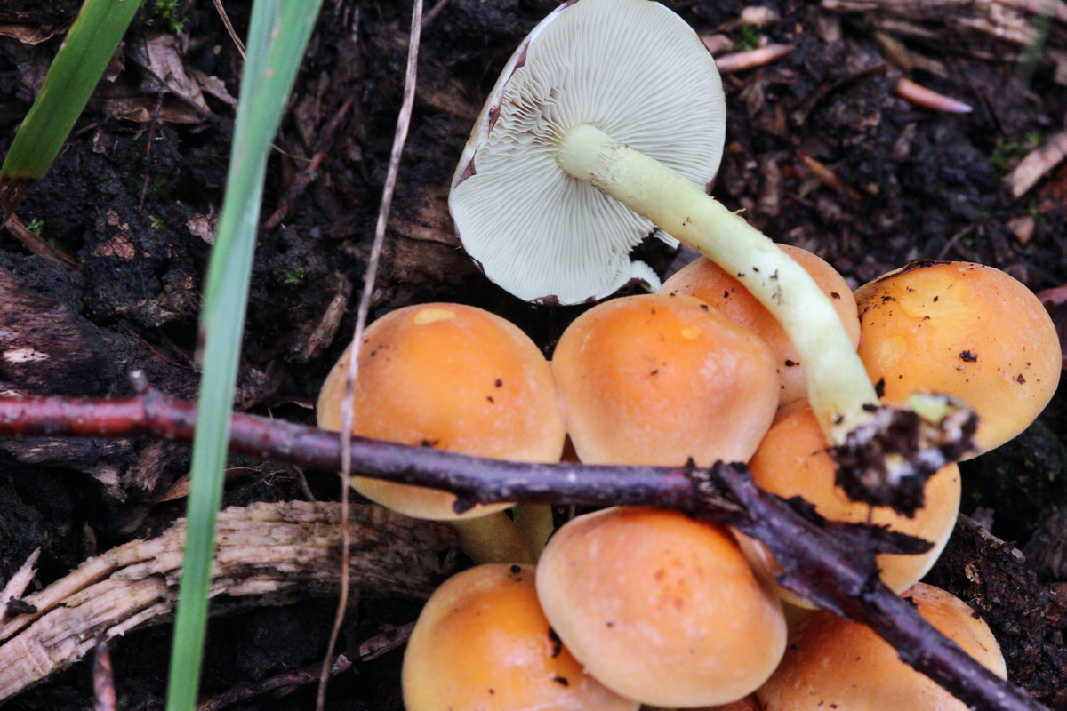 2013_09_21_00031037p_Bildgr��e �ndern