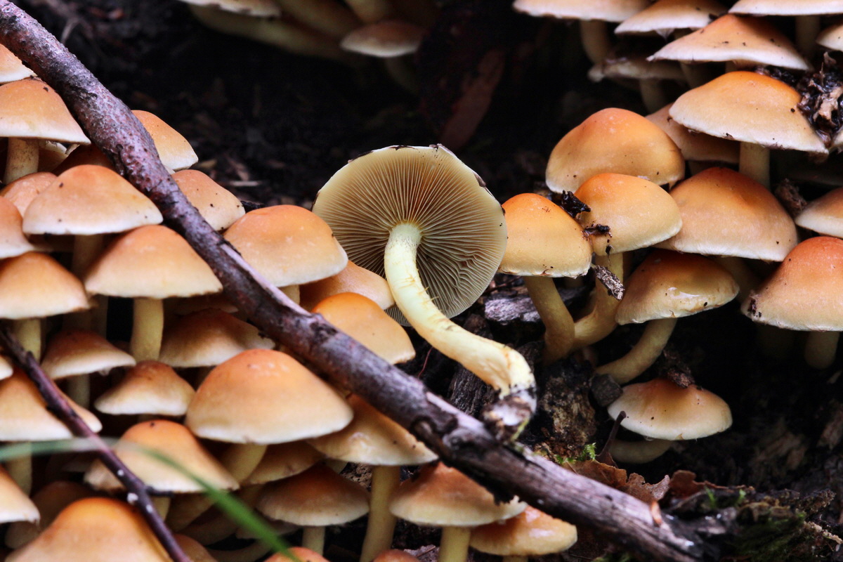 2013_09_21_00031042p_Bildgr��e �ndern