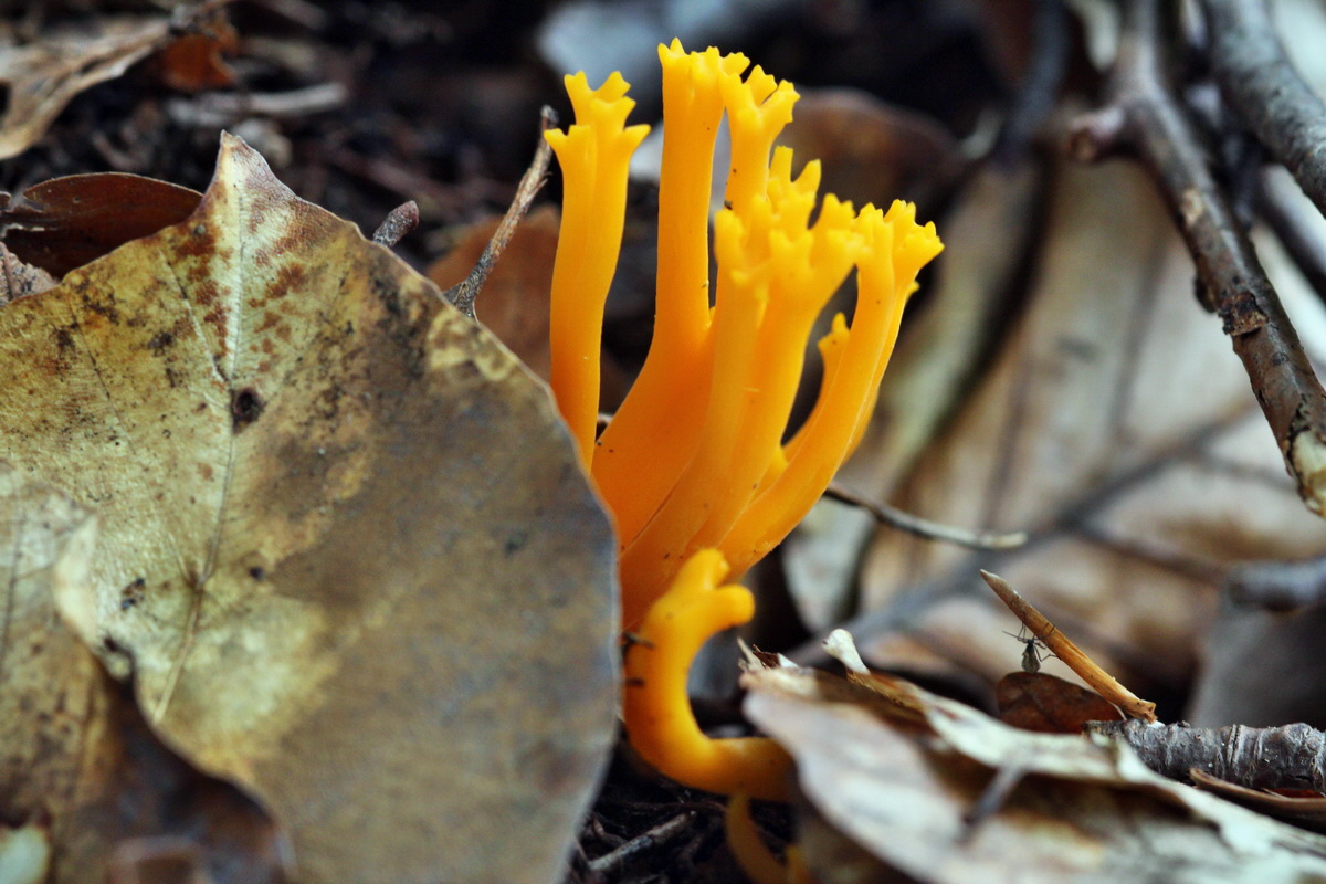 2013_09_21_00031051p_Bildgr��e �ndern