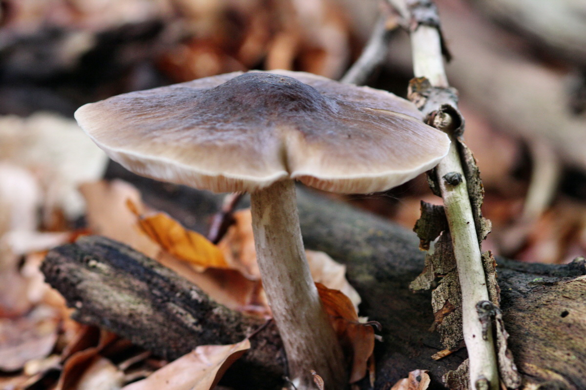 2013_09_21_00031054p_Bildgr��e �ndern