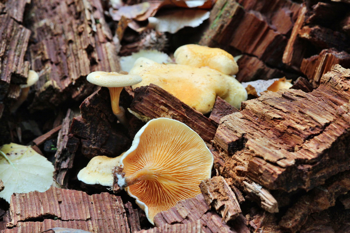 2013_09_21_00031063p_Bildgr��e �ndern