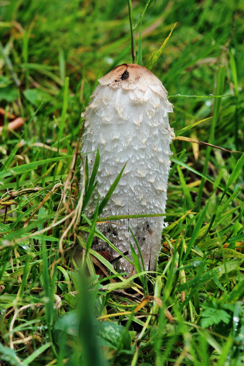 2013_09_21_00031066p_Bildgr��e �ndern