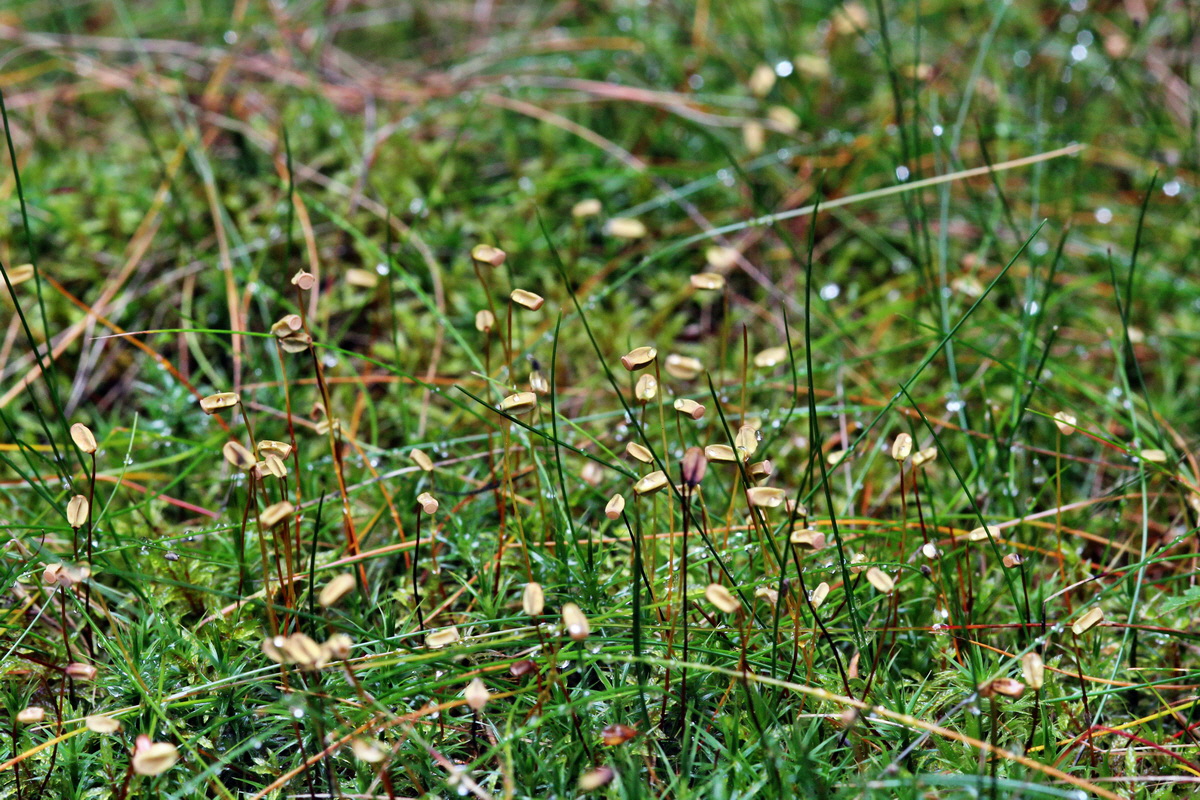 2013_09_21_00031093p_Bildgr��e �ndern