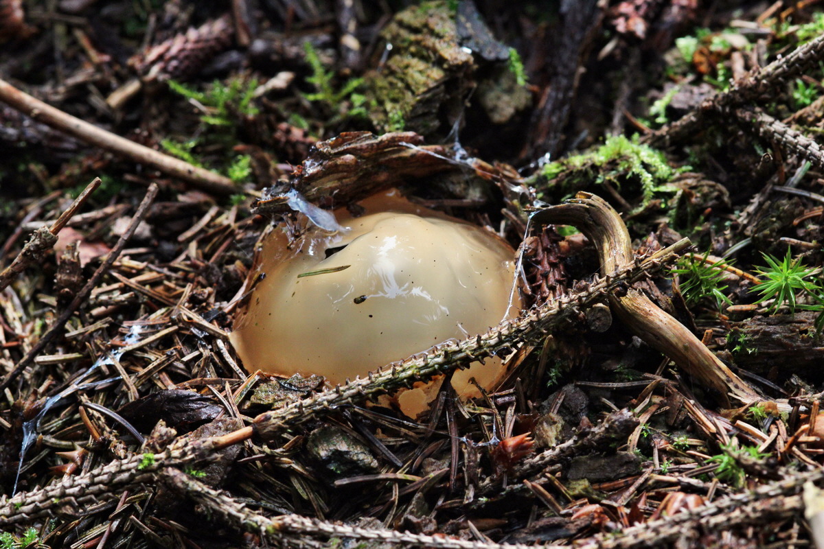 2013_09_21_00031098p_Bildgr��e �ndern