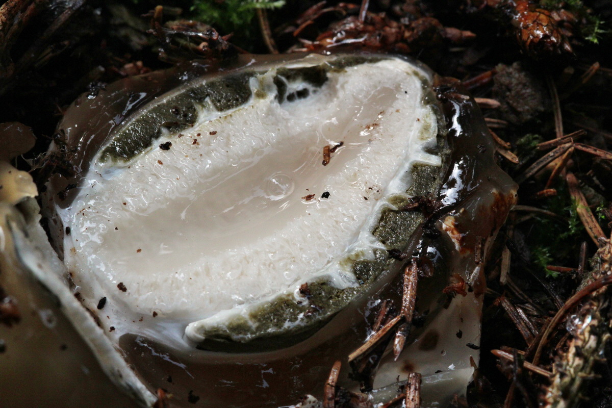 2013_09_21_00031103p_Bildgr��e �ndern