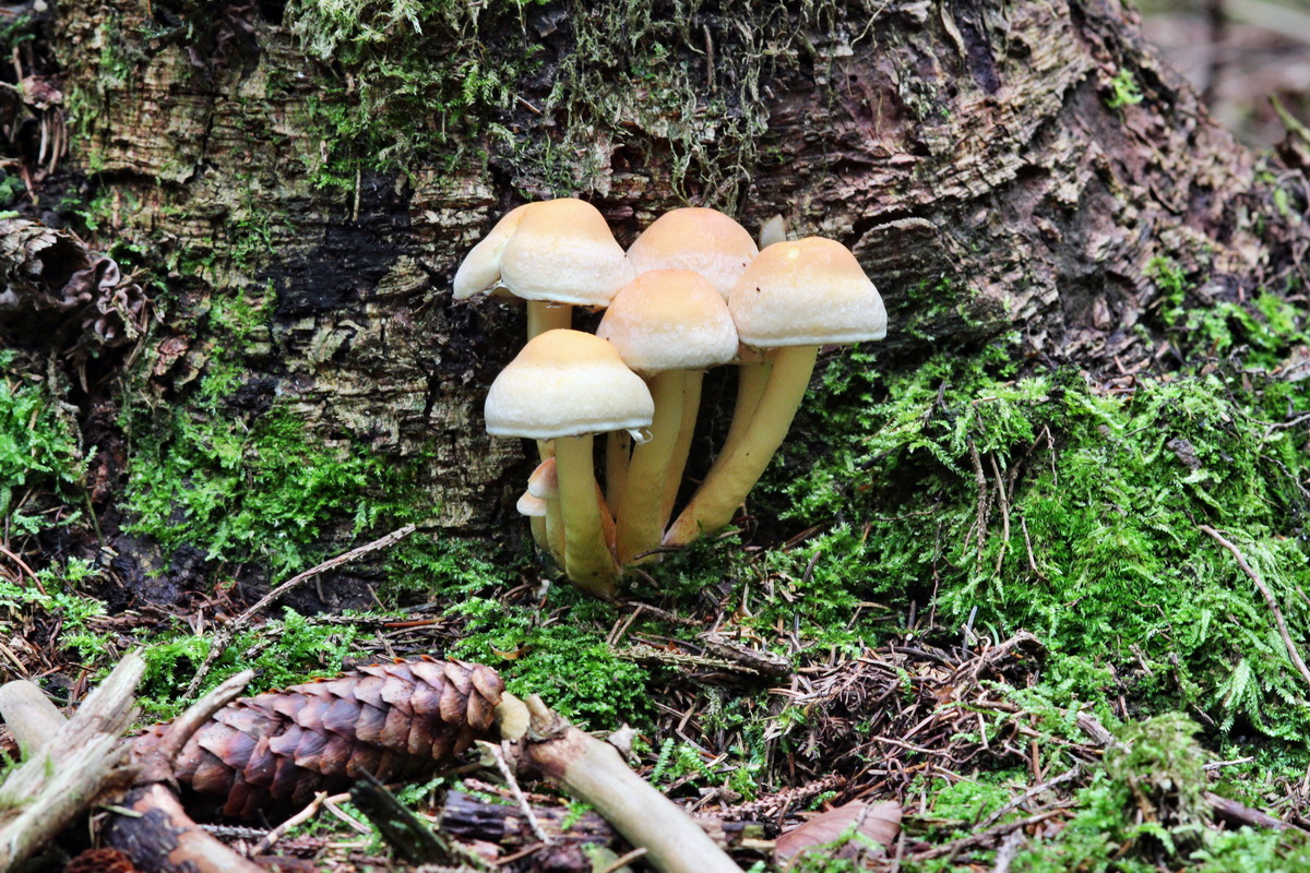 2013_09_21_00031123p_Bildgr��e �ndern