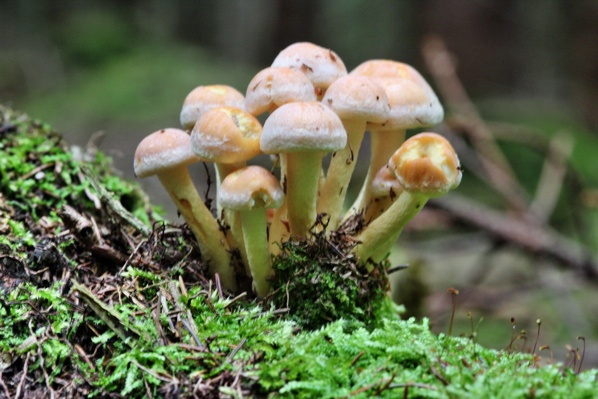 2013_09_21_00031133p_Bildgr��e �ndern