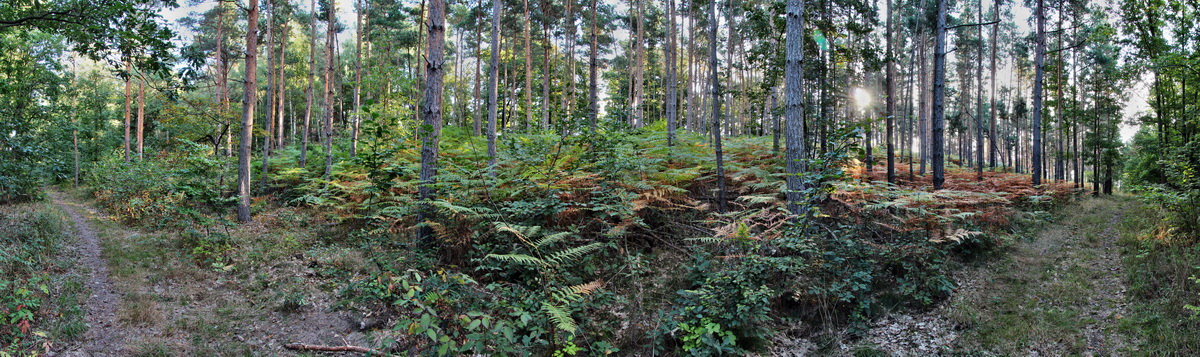 [Group 3]-2013_09_24_00031166_2013_09_24_00031180-6 imagesp_Bildgr��e �ndern