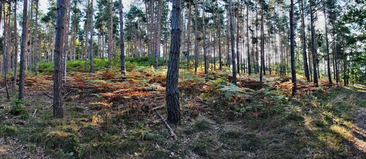 [Group 3]-2013_09_24_00031191_2013_09_24_00031198-5 imagesp_Bildgr��e �ndern