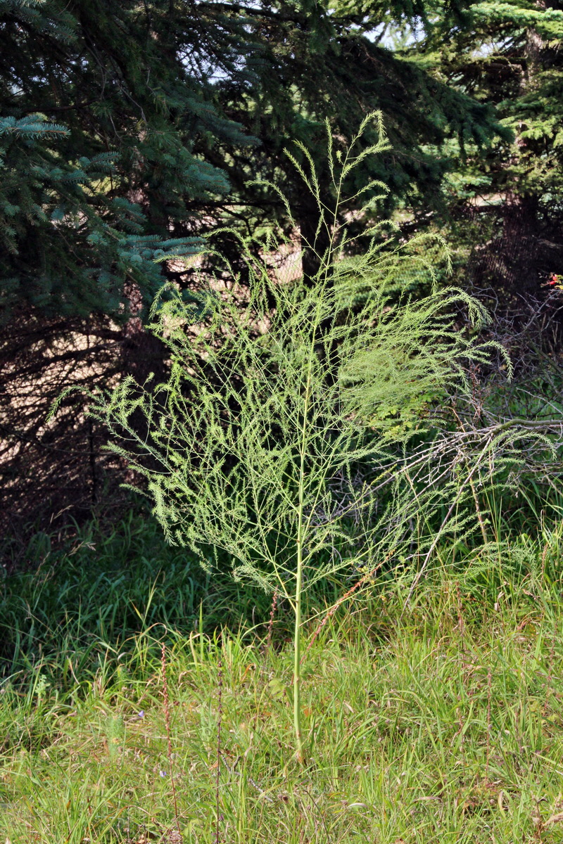 2013_09_24_00031227p_Bildgr��e �ndern