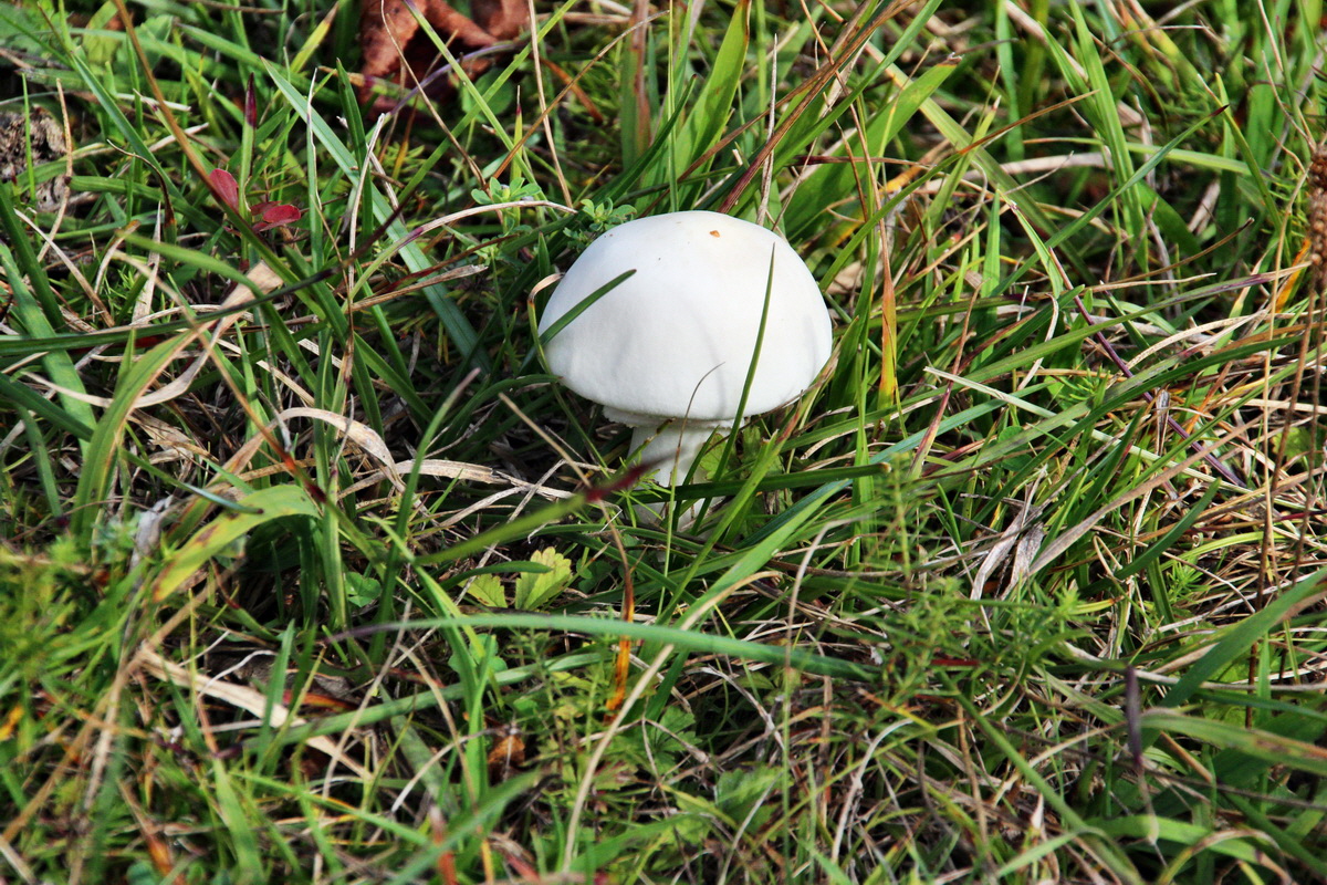 2013_09_24_00031232p_Bildgr��e �ndern