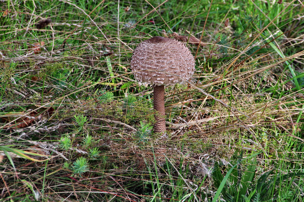 2013_09_24_00031236p_Bildgr��e �ndern