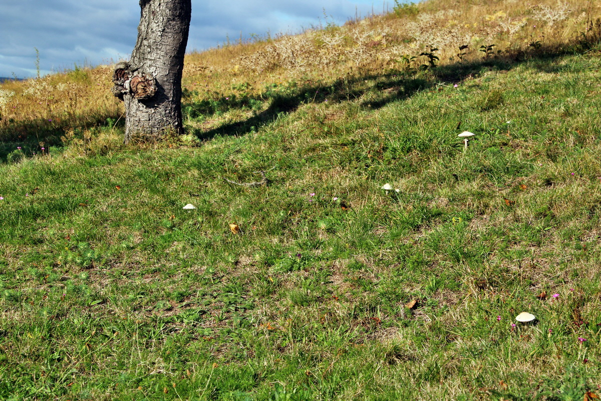 2013_09_24_00031245p_Bildgr��e �ndern