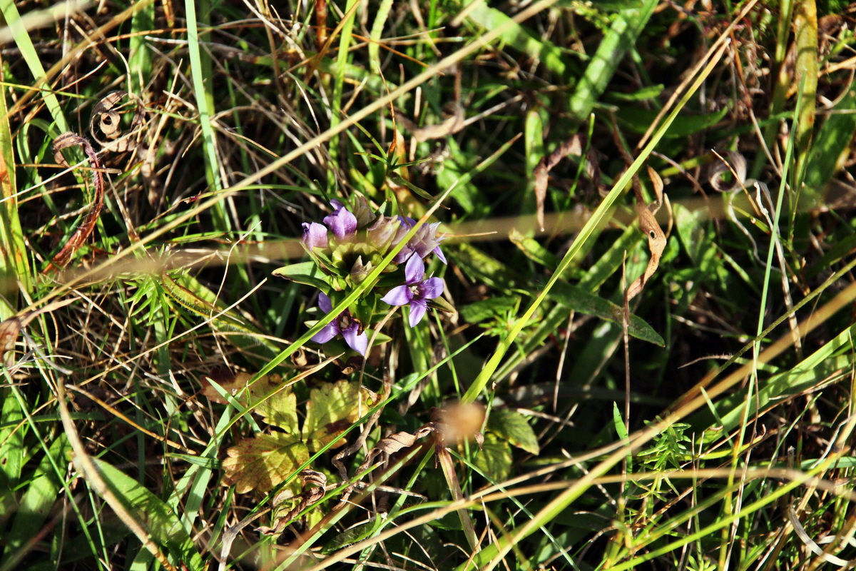 2013_09_24_00031265p_Bildgr��e �ndern