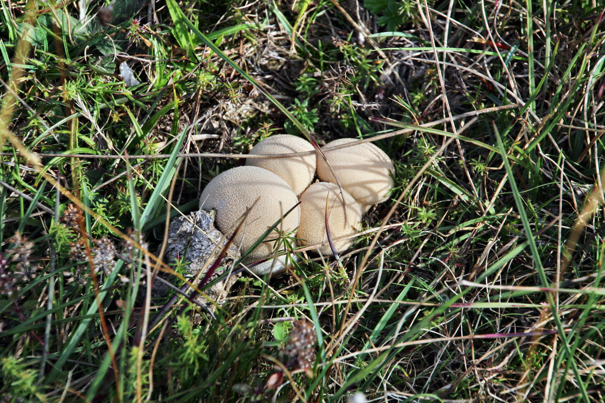 2013_09_24_00031275p_Bildgr��e �ndern