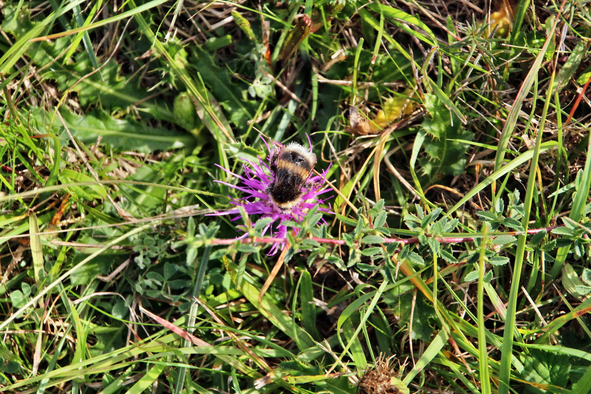 2013_09_24_00031283p_Bildgr��e �ndern