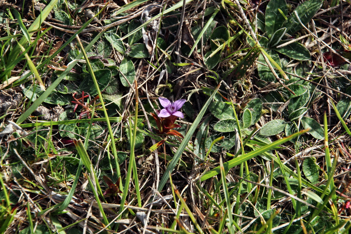 2013_09_24_00031285p_Bildgr��e �ndern