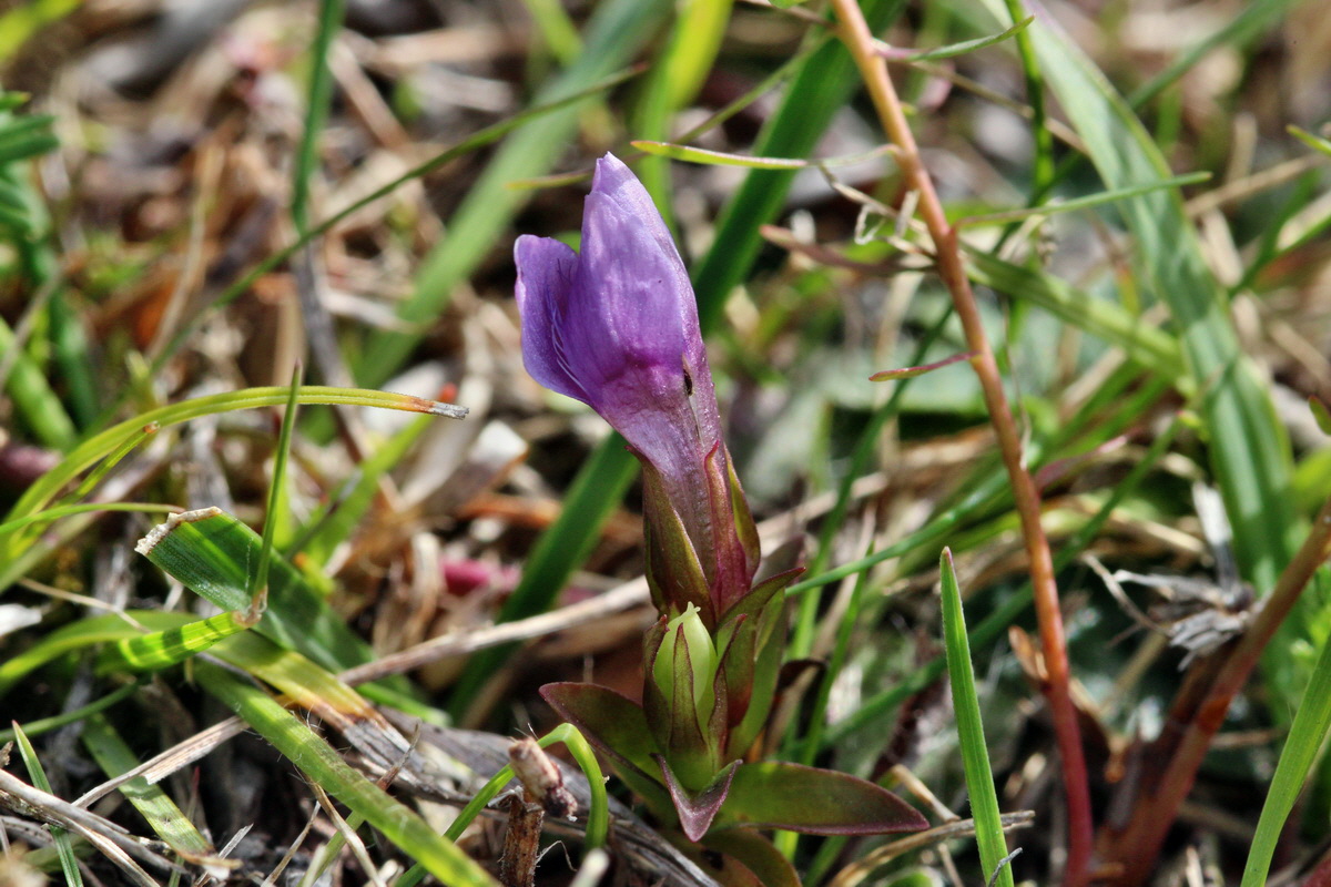 2013_09_24_00031289p_Bildgr��e �ndern