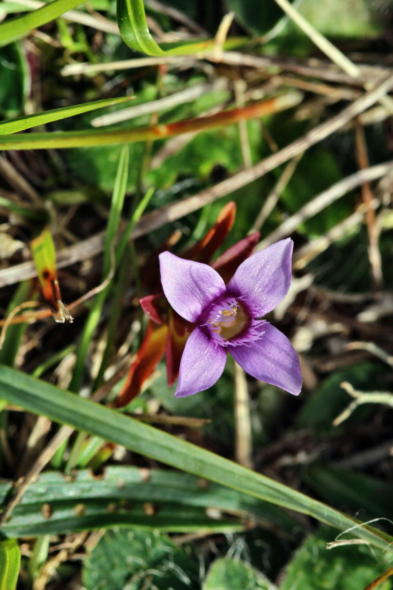 2013_09_24_00031292p_Bildgr��e �ndern