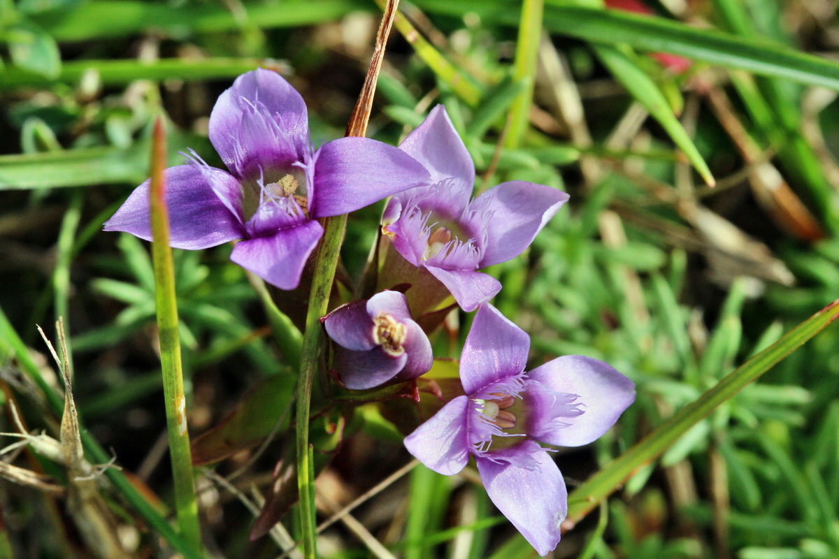 2013_09_24_00031296p_Bildgr��e �ndern