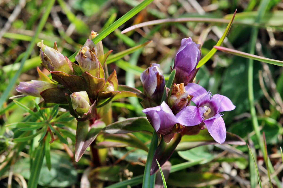 2013_09_24_00031302p_Bildgr��e �ndern