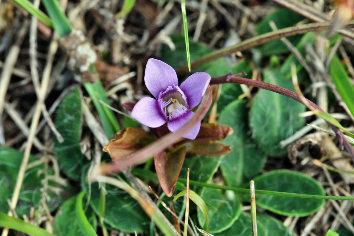 2013_09_24_00031307p_Bildgr��e �ndern