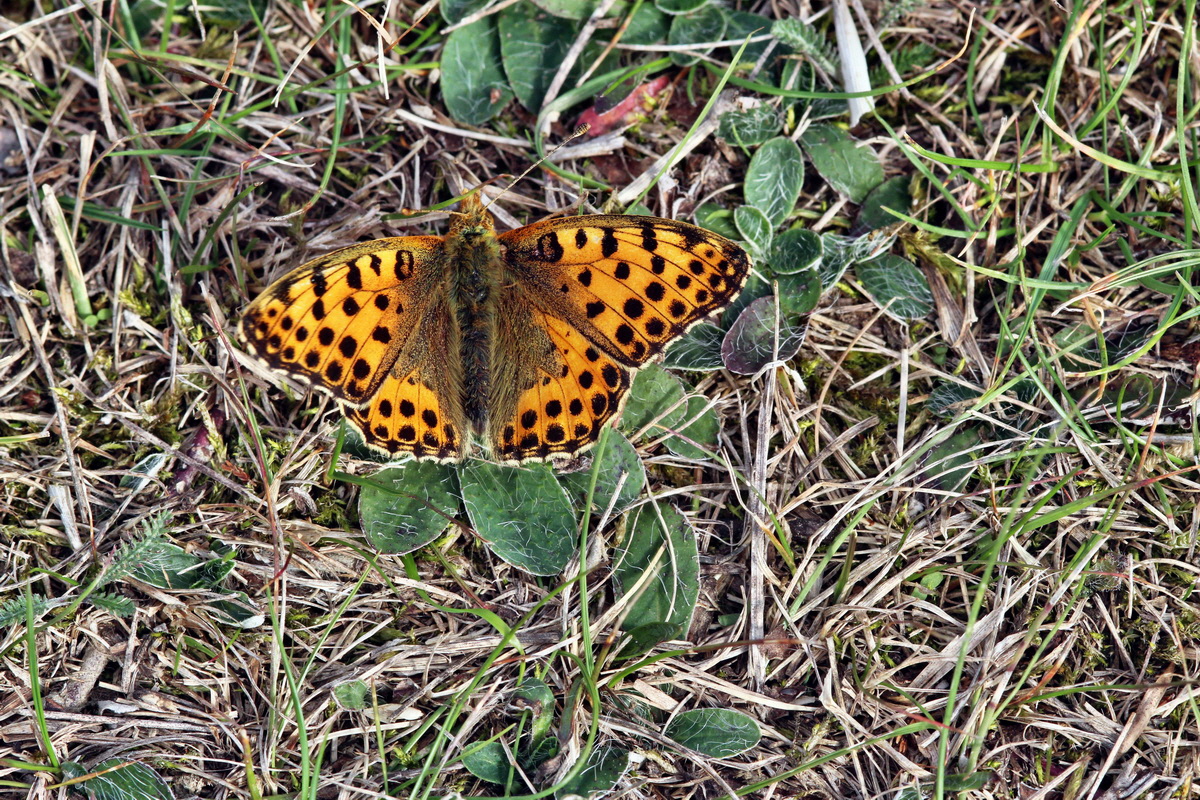 2013_09_24_00031314p_Bildgr��e �ndern