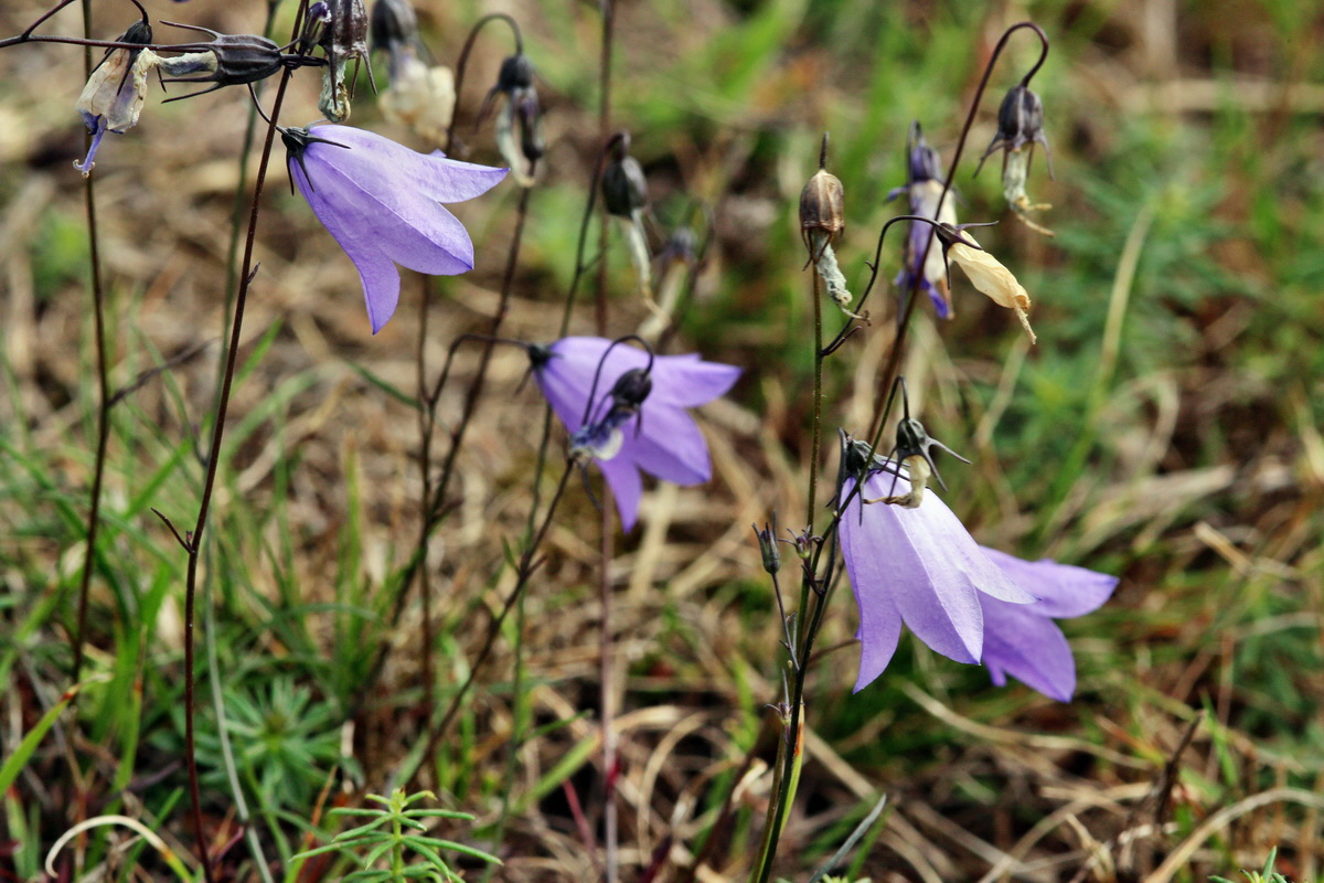 2013_09_24_00031328p_Bildgr��e �ndern