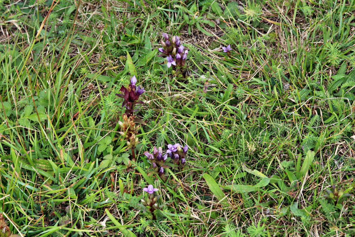 2013_09_24_00031371p_Bildgr��e �ndern