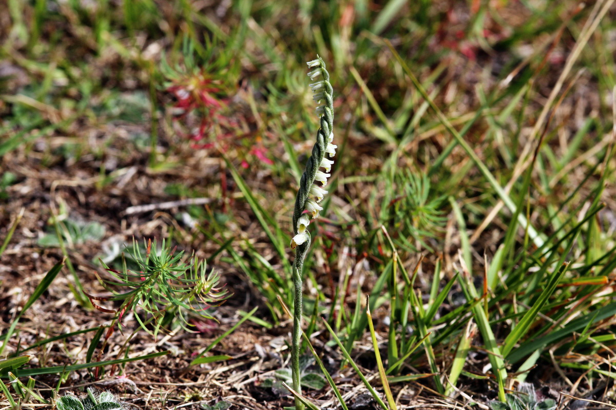 2013_09_24_00031379p_Bildgr��e �ndern