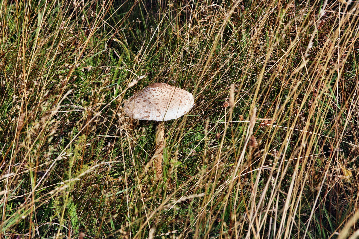 2013_09_24_00031407p_Bildgr��e �ndern