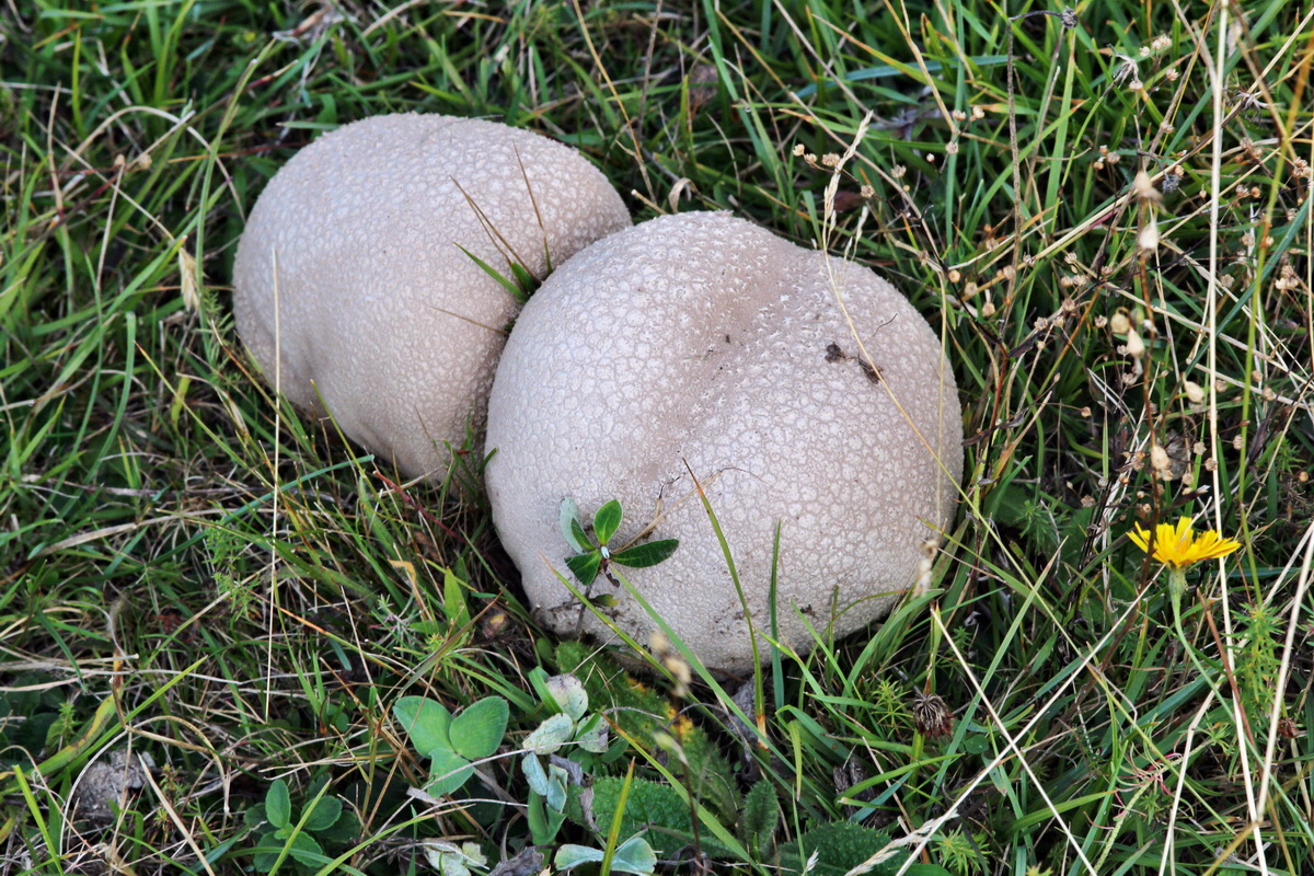 2013_09_24_00031409p_Bildgr��e �ndern