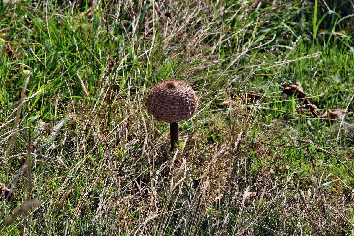 2013_09_24_00031415p_Bildgr��e �ndern