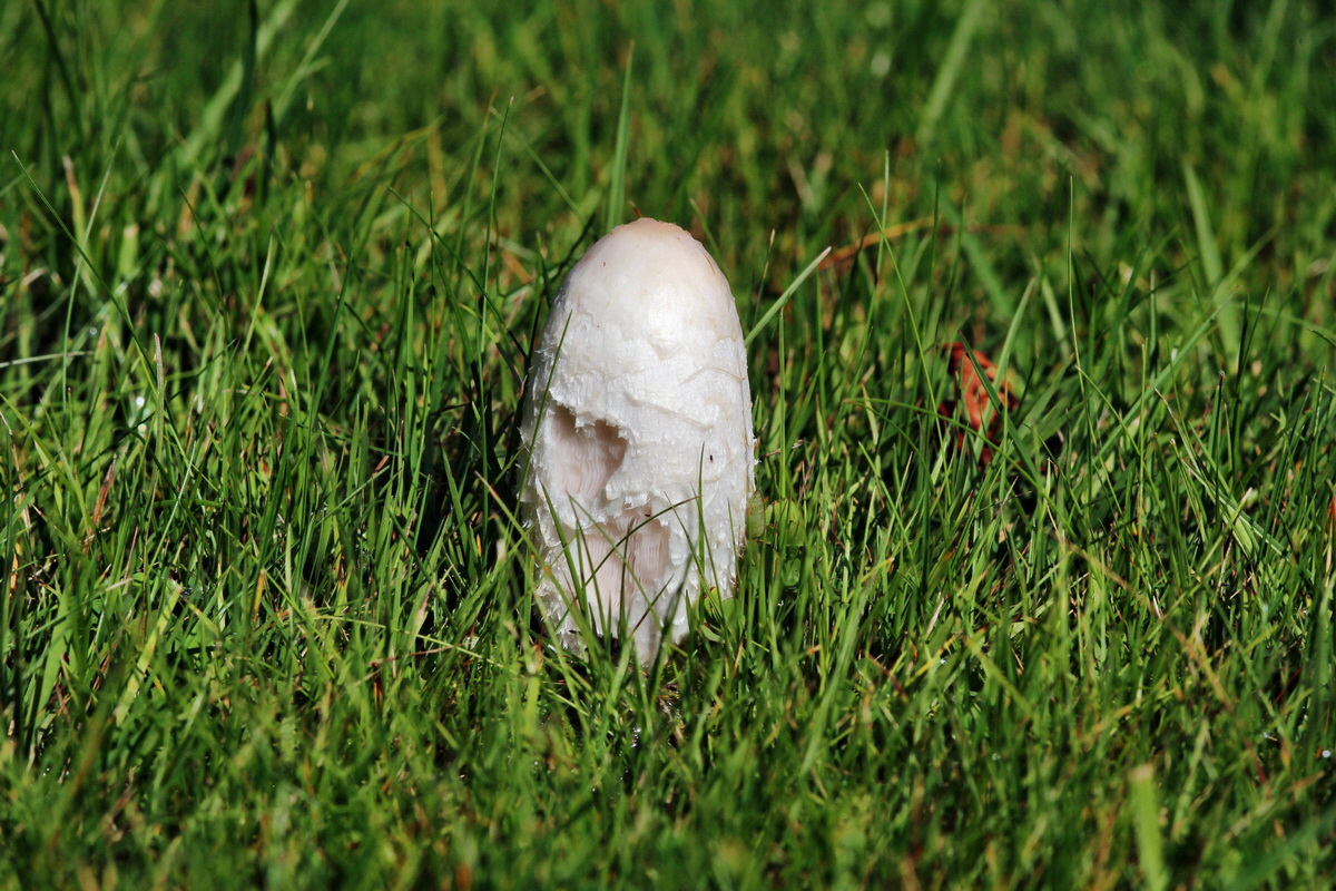 2013_09_27_00031419p_Bildgr��e �ndern