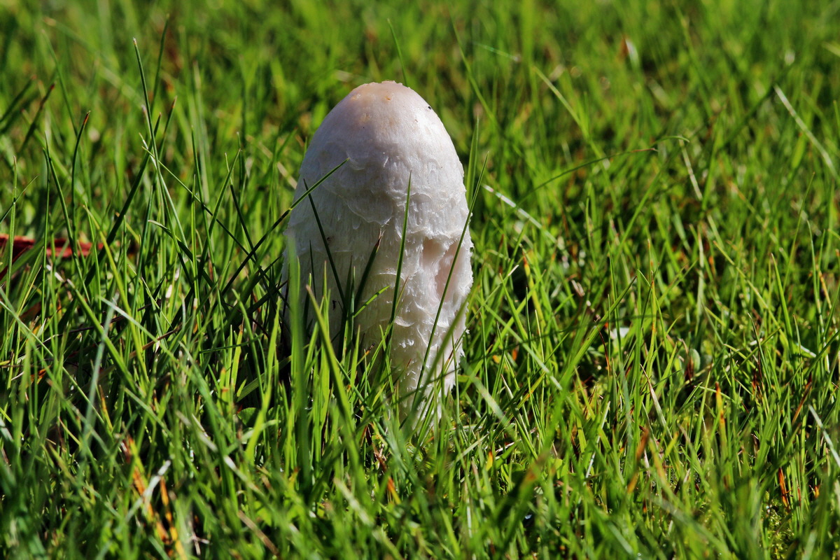 2013_09_27_00031422p_Bildgr��e �ndern