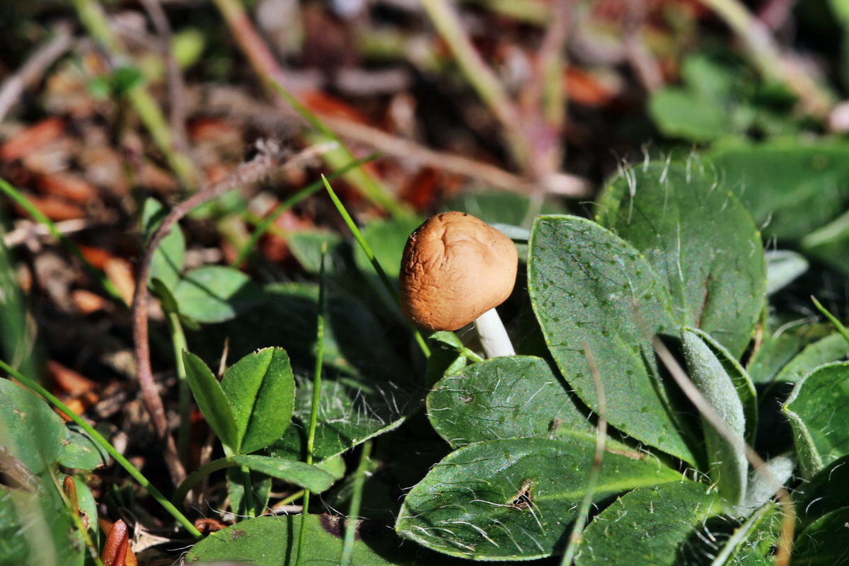 2013_09_27_00031424p_Bildgr��e �ndern