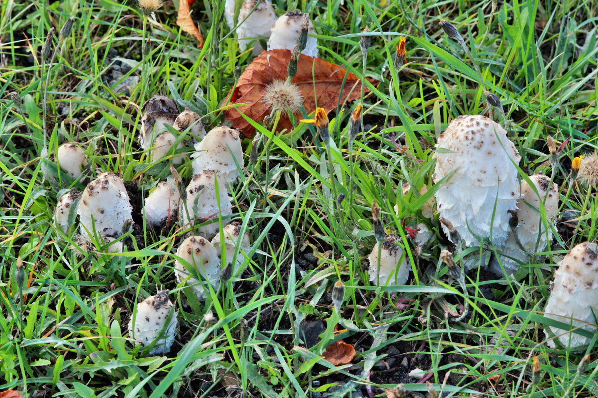 2013_09_27_00031429p_Bildgr��e �ndern