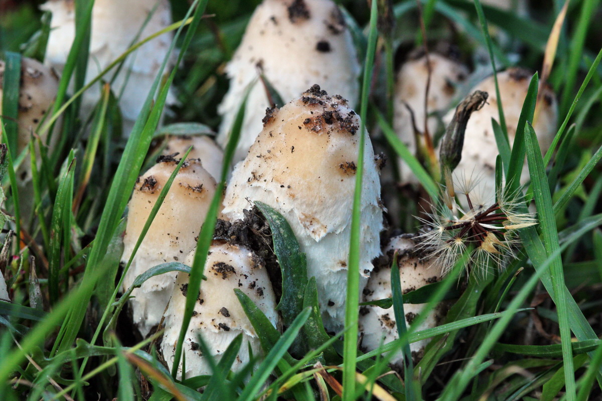 2013_09_27_00031432p_Bildgr��e �ndern