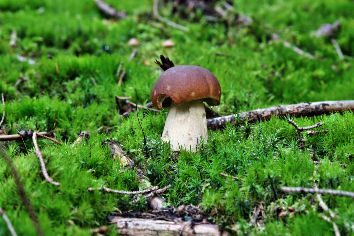 2013_09_27_00031442p_Bildgr��e �ndern