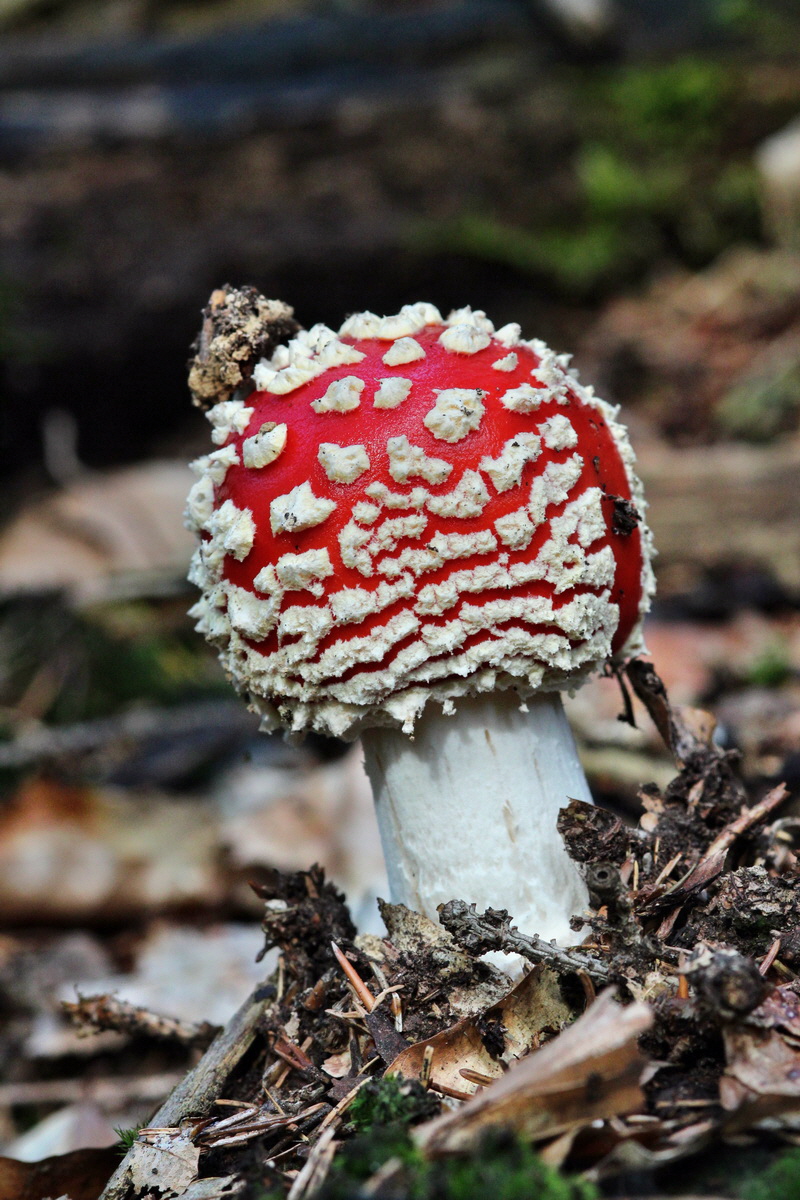 2013_09_27_00031460p_Bildgr��e �ndern