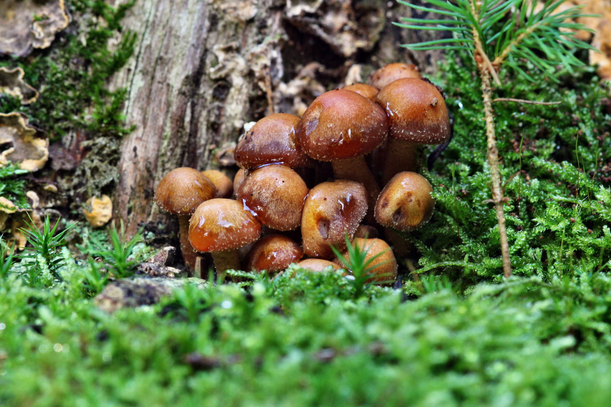 2013_09_27_00031471p_Bildgr��e �ndern