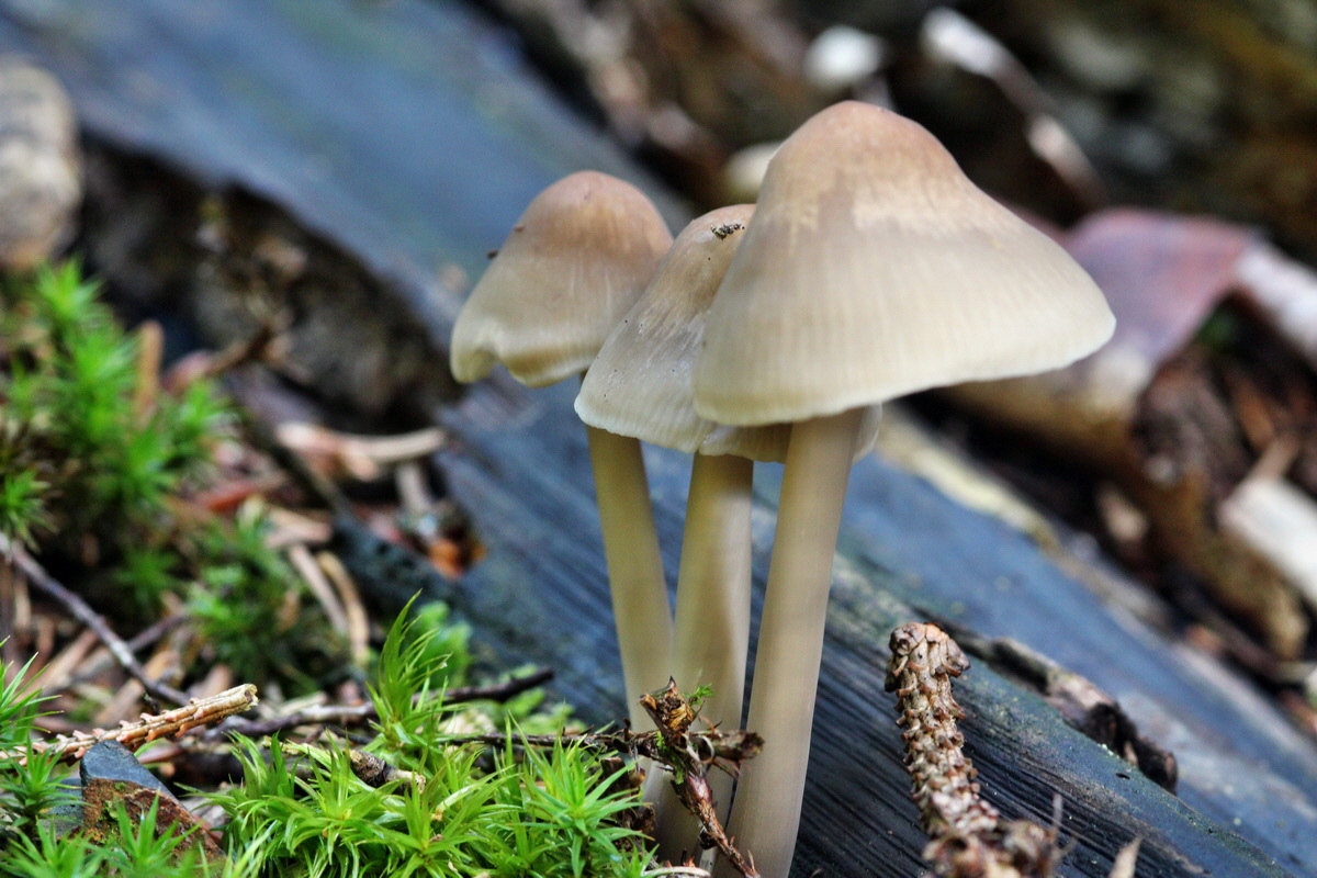 2013_09_27_00031479p_Bildgr��e �ndern