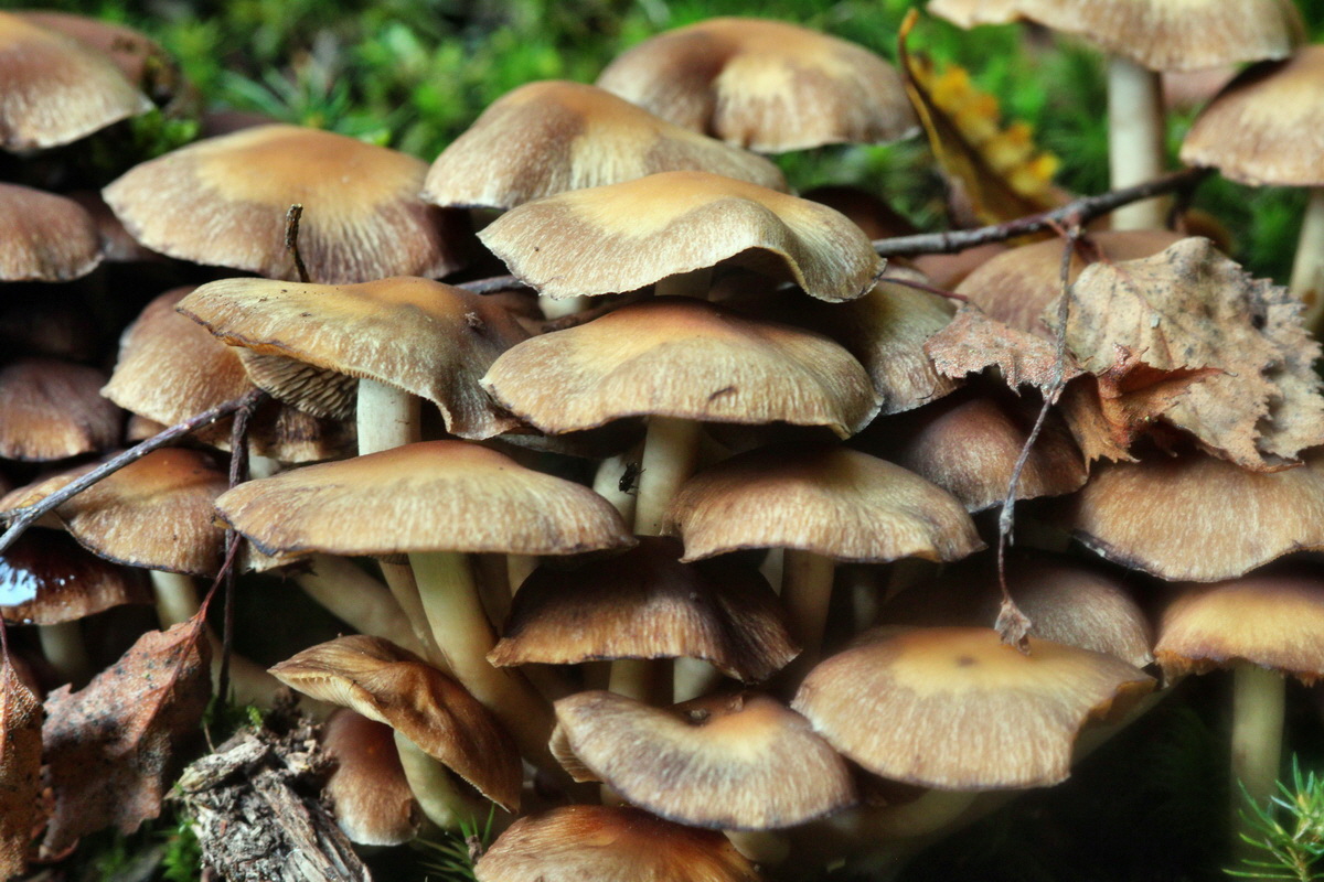 2013_09_27_00031488p_Bildgr��e �ndern