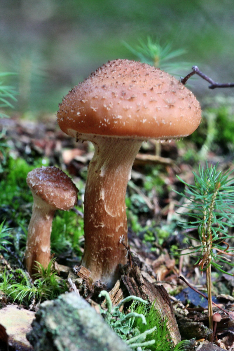 2013_09_27_00031495p_Bildgr��e �ndern