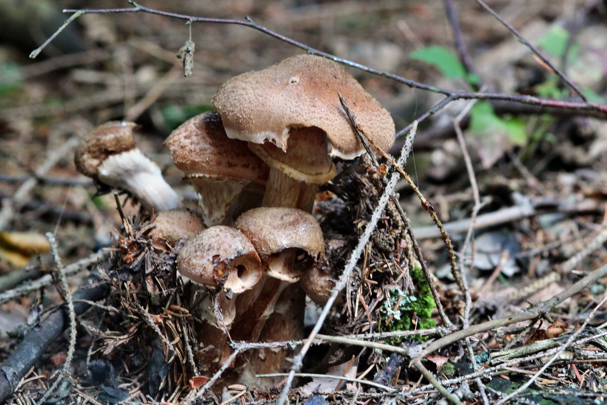 2013_09_27_00031506p_Bildgr��e �ndern