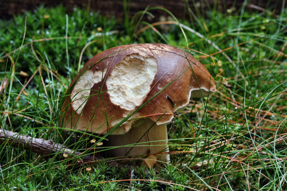 2013_09_27_00031520p_Bildgr��e �ndern