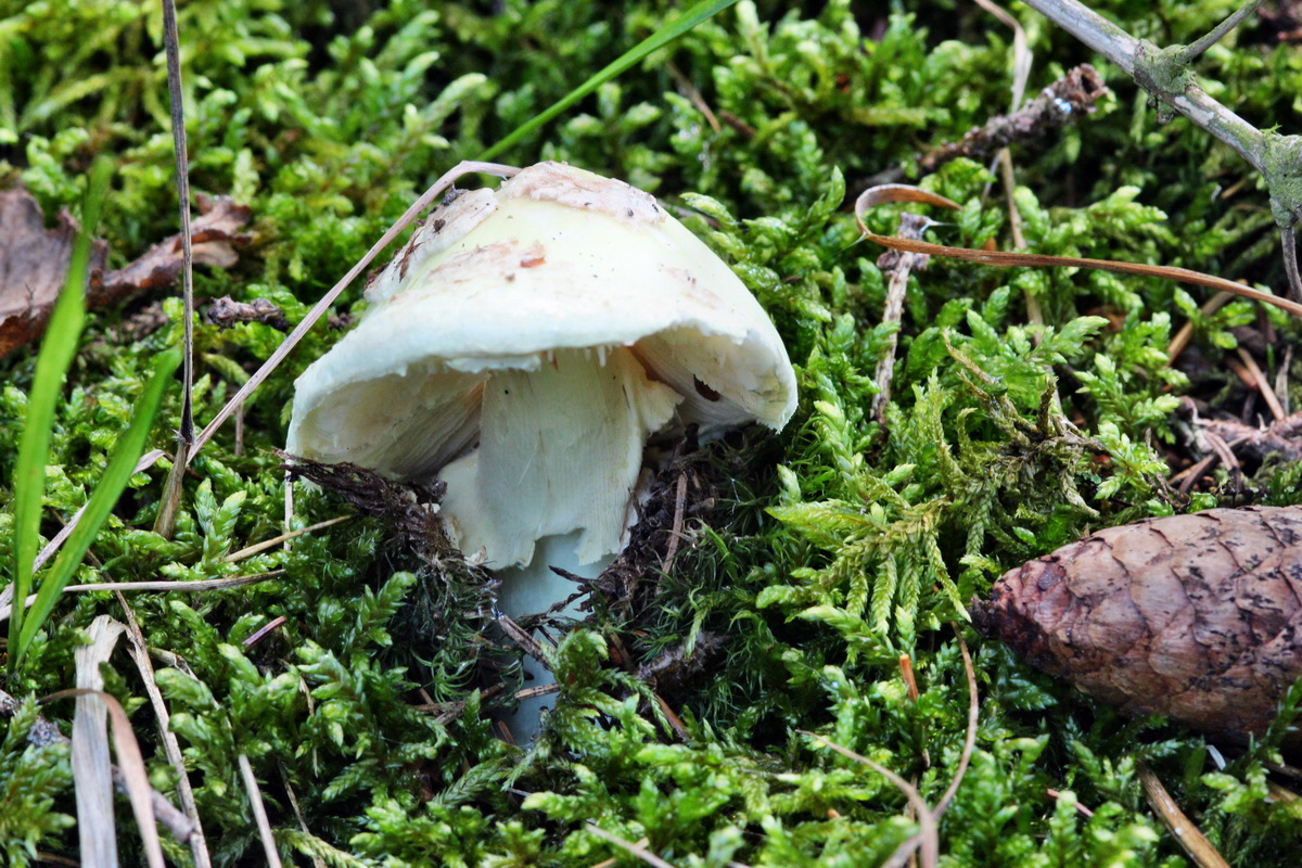 2013_09_27_00031527p_Bildgr��e �ndern