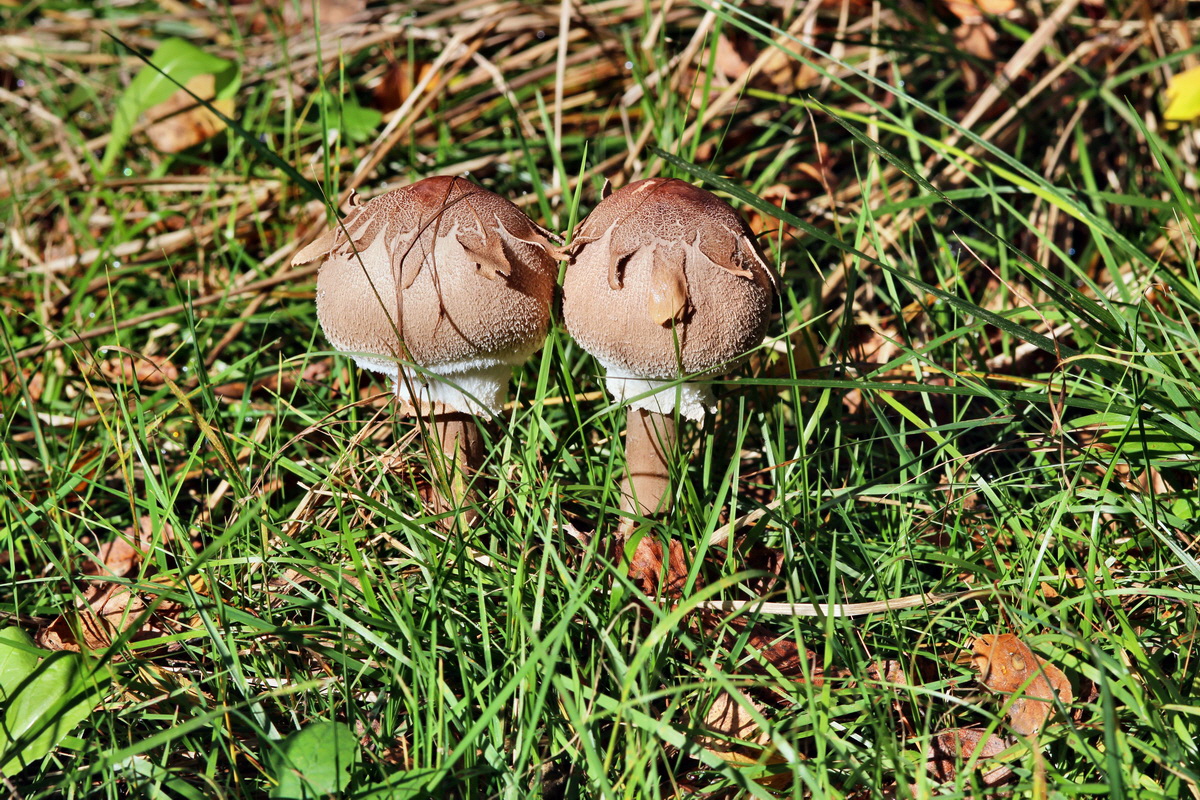 2013_09_27_00031542p_Bildgr��e �ndern