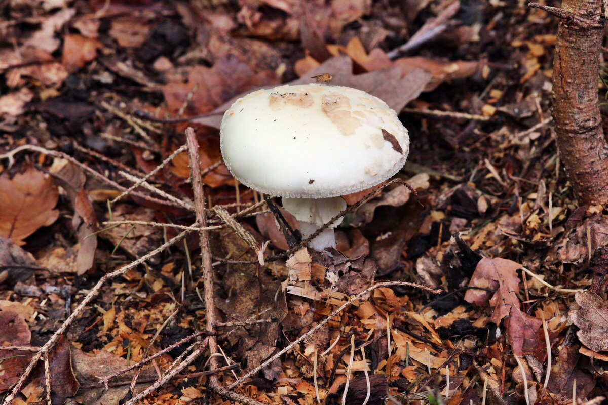 2013_09_27_00031546p_Bildgr��e �ndern